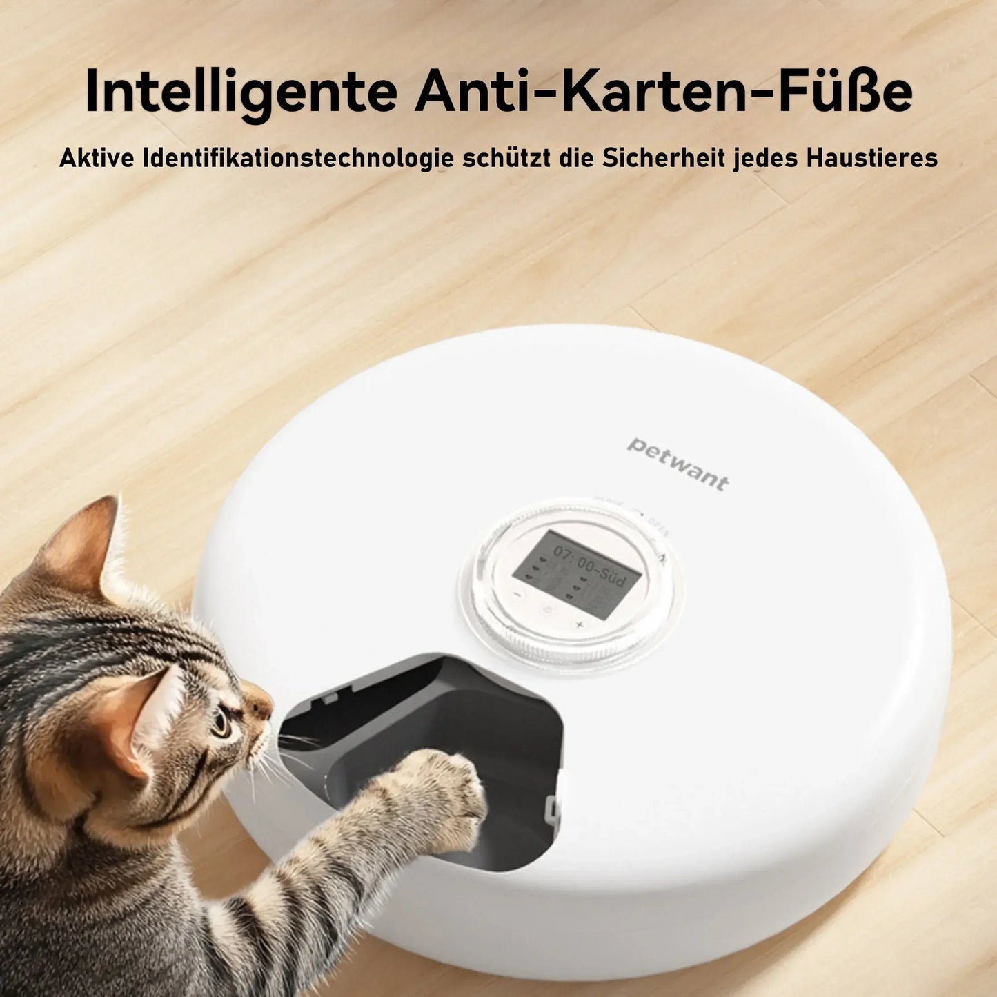 Automatischer Futterautomat für Hunde & Katzen | 6 Mahlzeiten mit Timer & Kühlakkus – Frischhaltung bis 24 Stunden