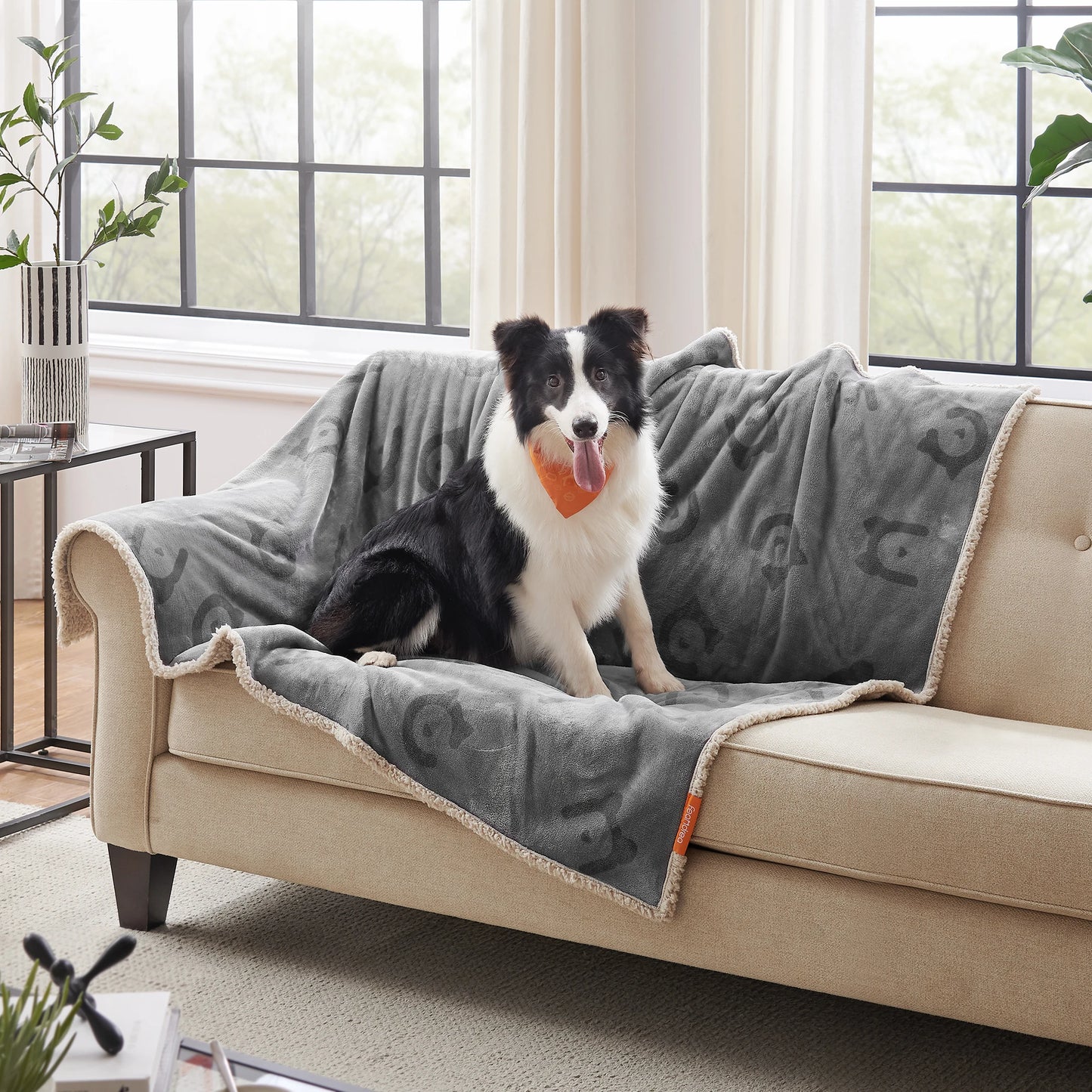 Wasserdichte Fleece-Haustierdecke XL (152×127 cm) | Weiche, waschbare Schutzdecke für Sofa, Auto & Bett