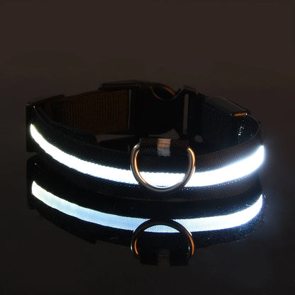 Leuchtendes LED-Hundehalsband | Wiederaufladbares Sicherheits-Halsband für Nachtspaziergänge