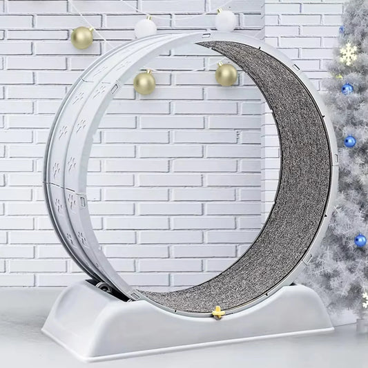 Katzenlaufrad – Leises Cat Exercise Wheel für Wohnungskatzen | Indoor Fitness & Training