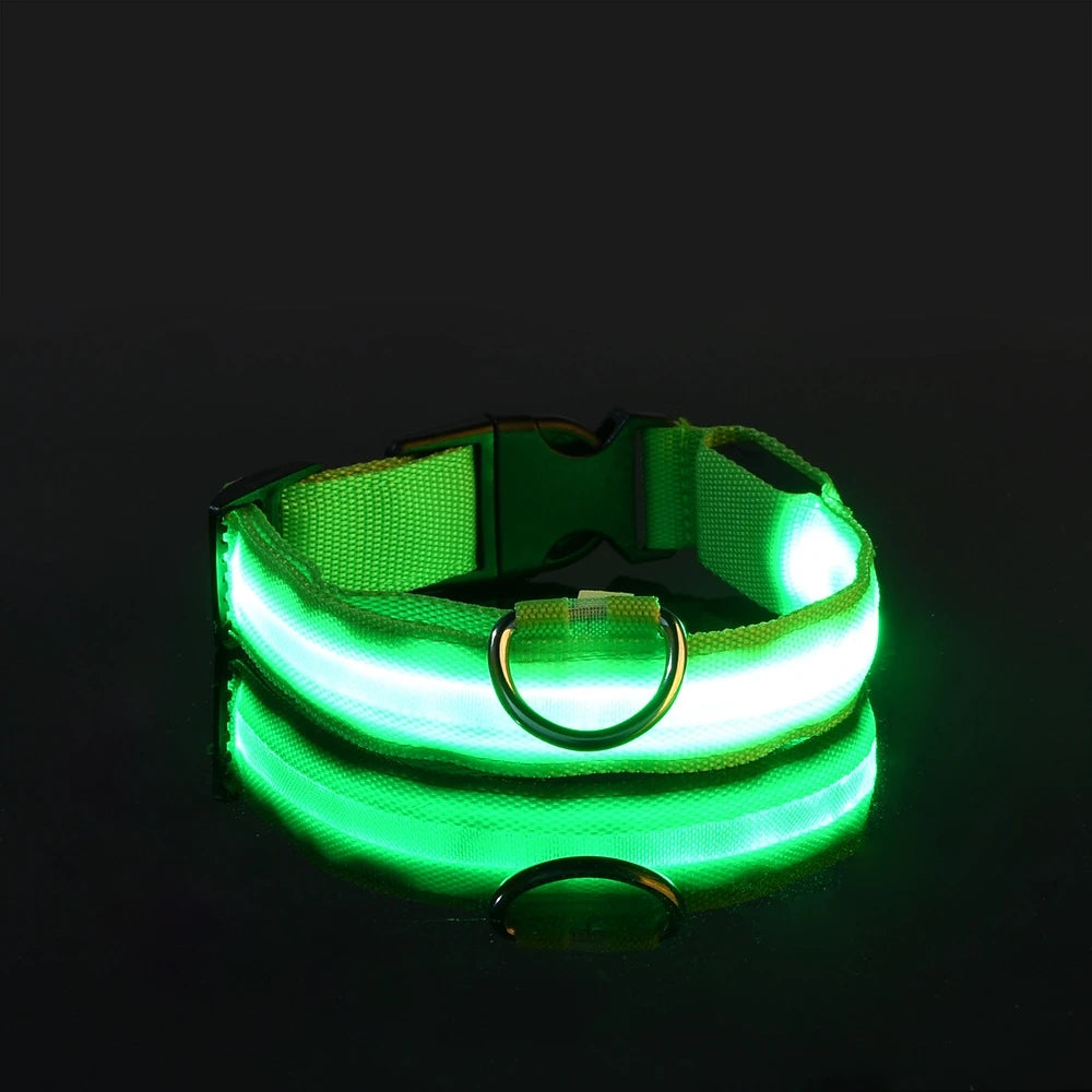 Leuchtendes LED-Hundehalsband | Wiederaufladbares Sicherheits-Halsband für Nachtspaziergänge