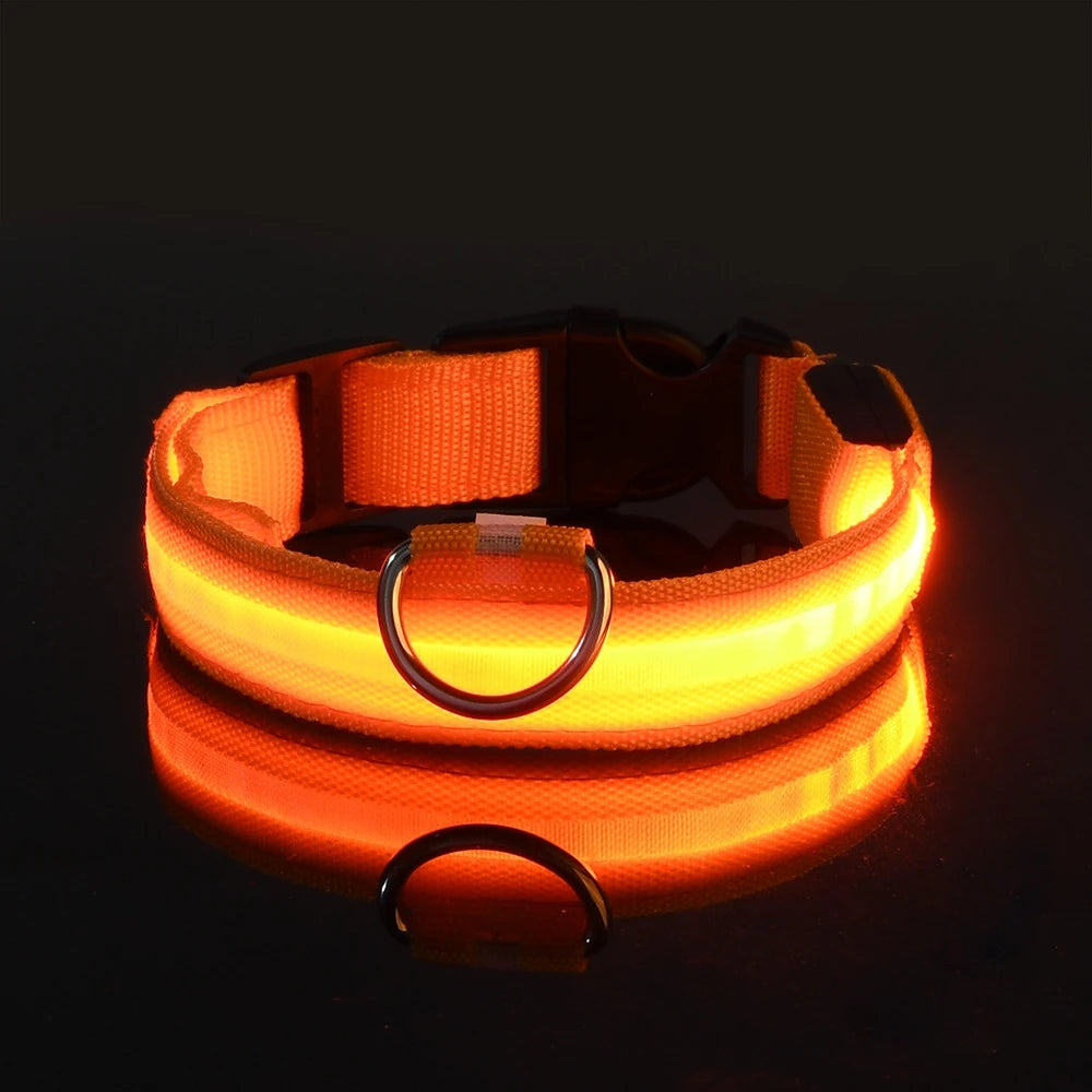 Leuchtendes LED-Hundehalsband | Wiederaufladbares Sicherheits-Halsband für Nachtspaziergänge