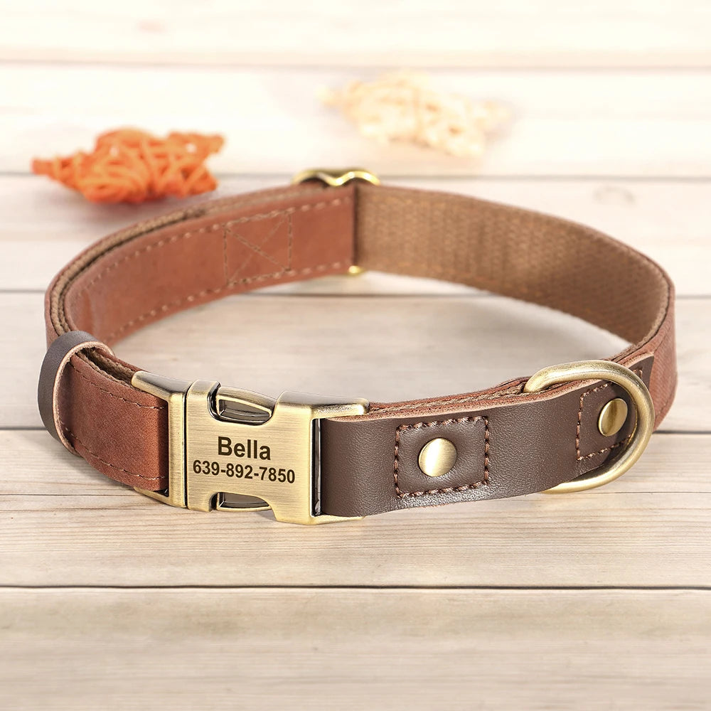 Personalisiertes Hundehalsband mit Gravur | Verstellbares ID-Halsband für Hunde & Katzen