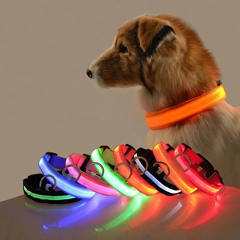 Leuchtendes LED-Hundehalsband | Wiederaufladbares Sicherheits-Halsband für Nachtspaziergänge