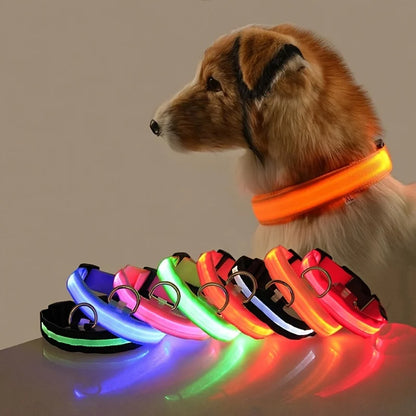Leuchtendes LED-Hundehalsband | Wiederaufladbares Sicherheits-Halsband für Nachtspaziergänge