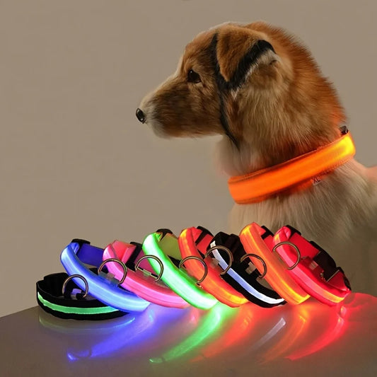 Leuchtendes LED-Hundehalsband | Wiederaufladbares Sicherheits-Halsband für Nachtspaziergänge